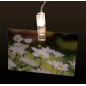McShine LED Lichterkette mit 20 Foto-Clips, Batterie betrieben