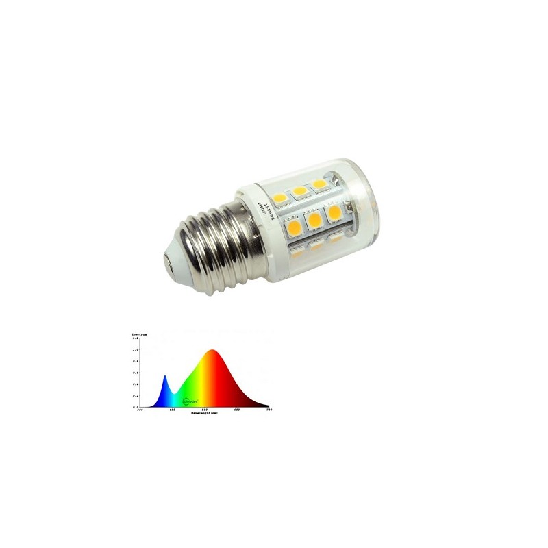 David Com. E27 LED Korn- Kolbenlampe, 24V AC/DC, 2.6W