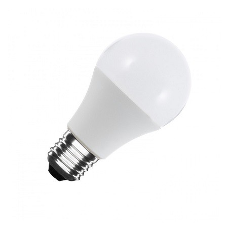 NVLED E27 LED Lampe, Birne "A60", 12V/24V AC/DC, 10W, matt