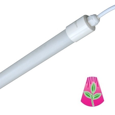 Bioledex LED-Pflanzenleuchte "GoLeaf", 8W, 60cm