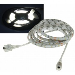 Chilitec LED-Stripe "CLS-1000", 4.2W/m, 10m, 600 SMD LEDs